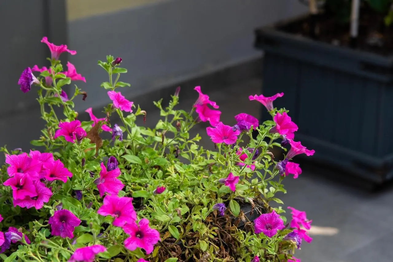 La Fonderia Firenze Bed & Breakfast